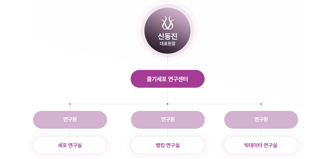 조직도: 신동진 대표원장 아래 줄기세포 연구센터, 그 아래 세포 연구실·뱅킹 연구실·빅데이터 연구실의 연구원